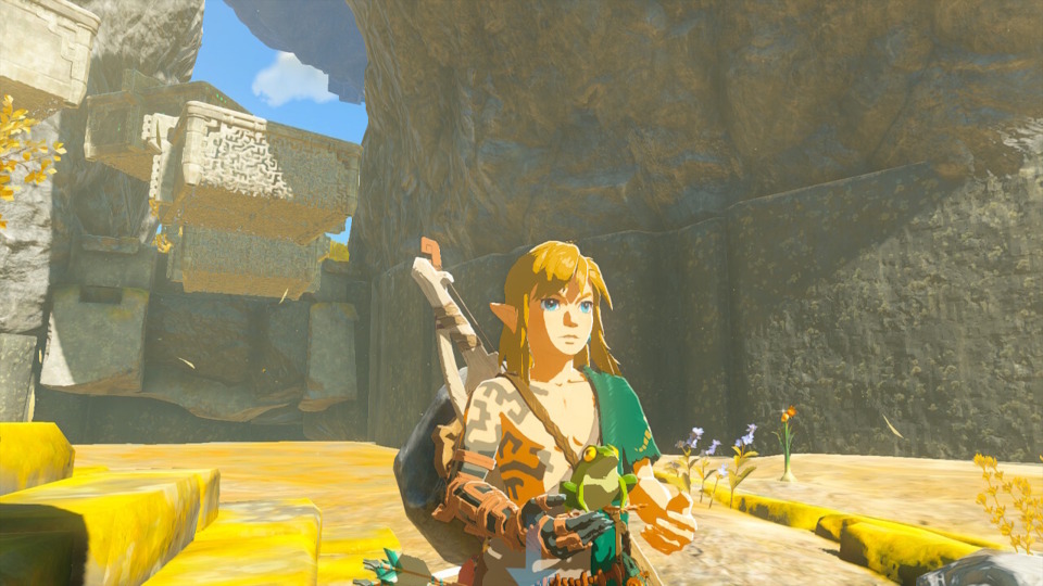 Link might not be able to pet the dog, but he can hold the frog.