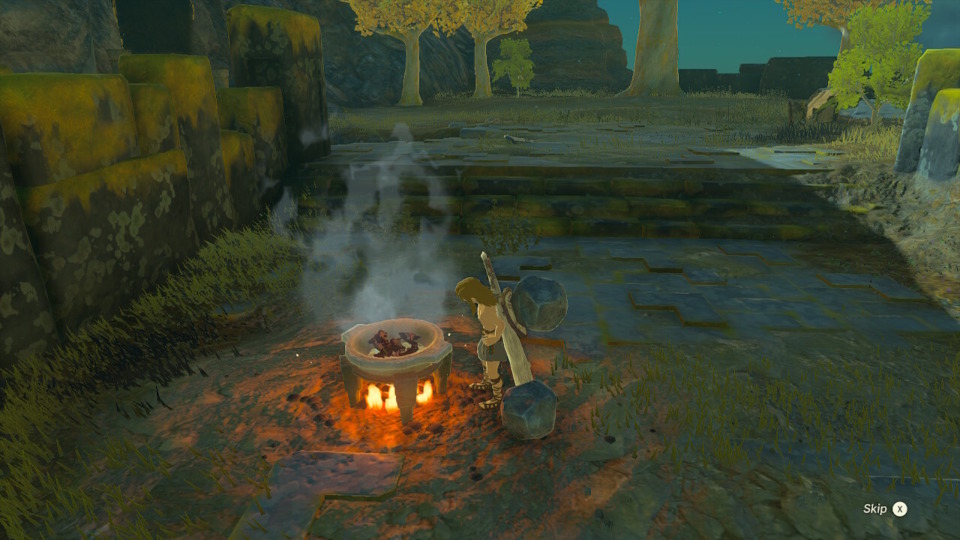 I don't think I actually ever got screenshots of Link using Ascend, so instead here he is cooking shirtless. Even *I* think that's a bad idea, at least in real life. 