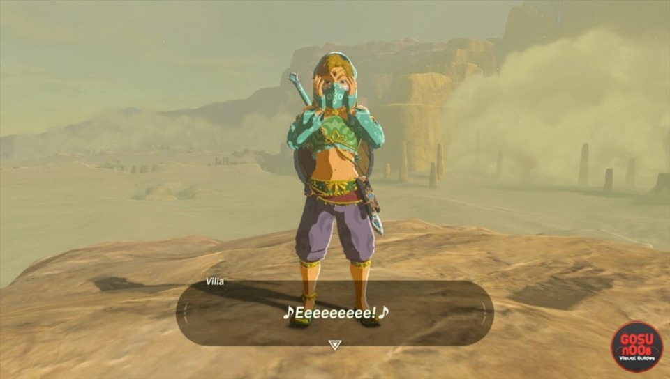 As I played BotW on Wii U, I didn't have a quick screenshot, so just grabbed one I found on Google...not noticing the logo until it was embedded here, haha. I guess you know where it's from now!
