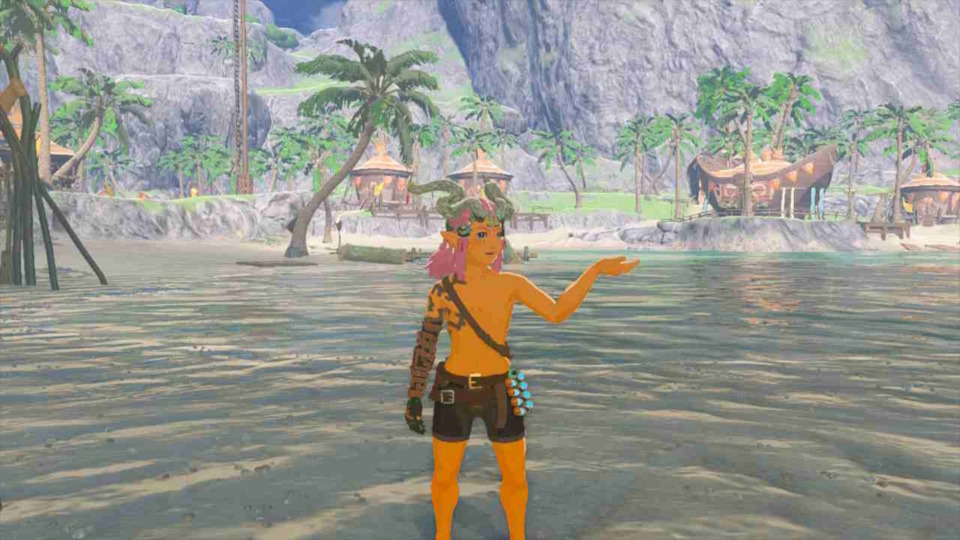 Link deserves a long vacation on the beach after everything he went through. 