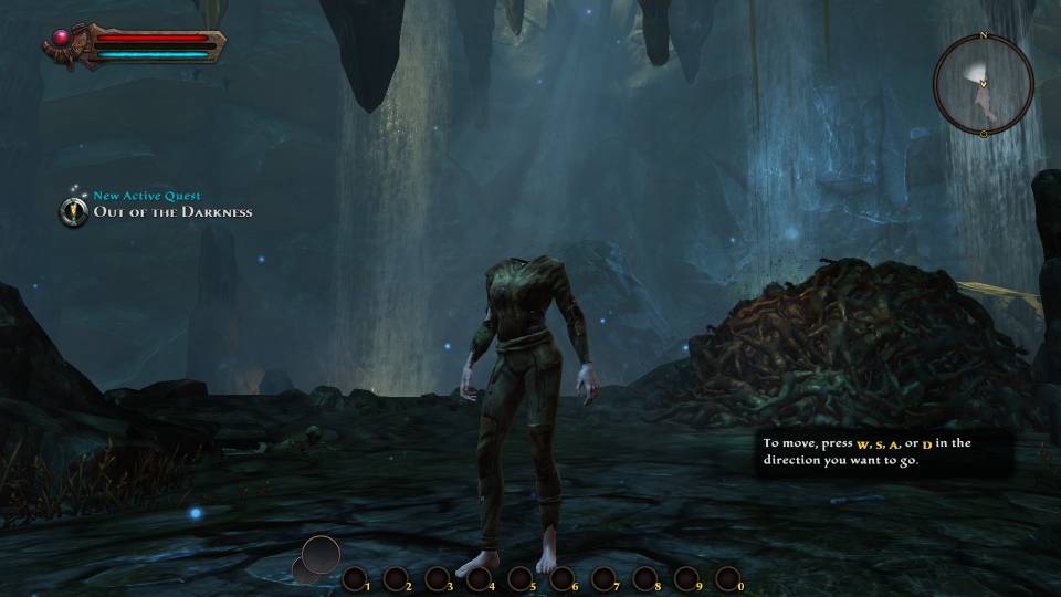 I think Kingdoms of Amalur forgot something when rendering out my character.