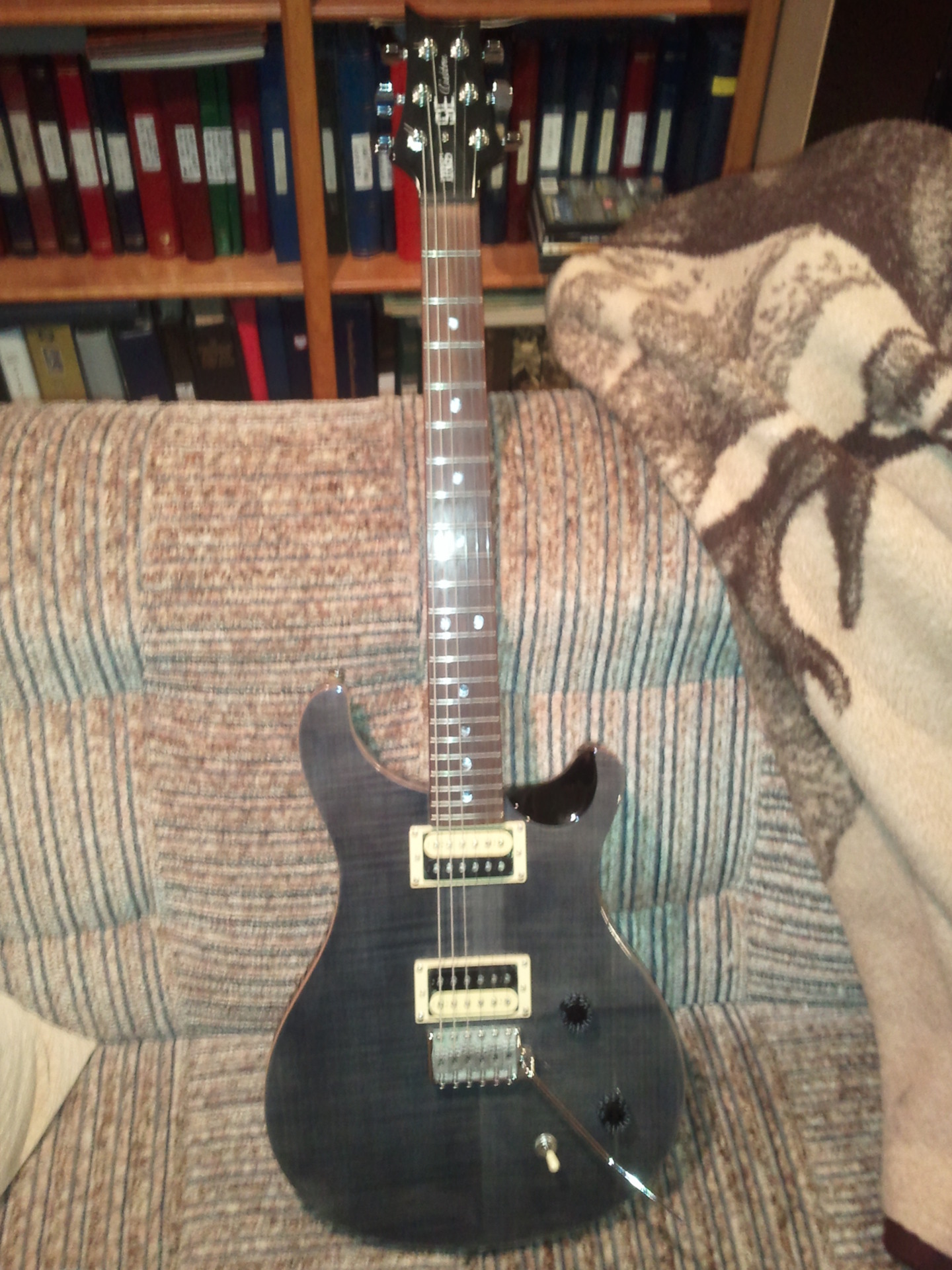  My PRS, probably my most played guitar.  Completely awesome all around.  I love it!