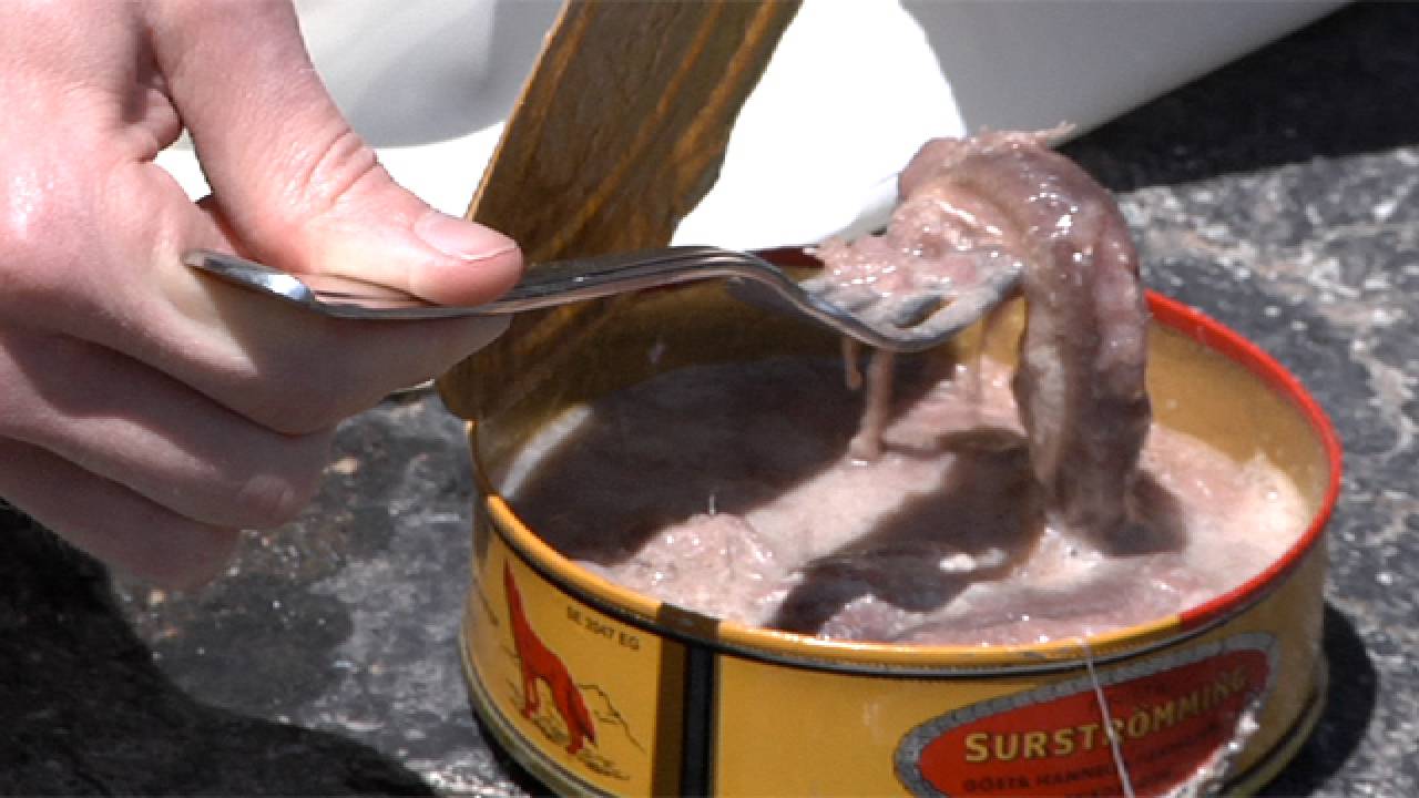 Surströmming - Wikipedia