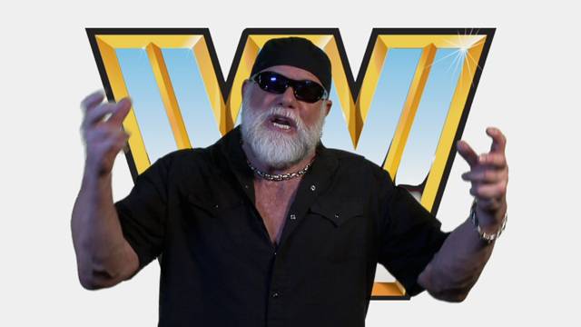 Macho Man Randy Savage Tells You All About WWE All Stars