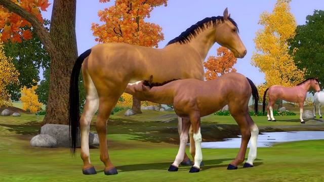 There's a Ridiculous Amount of Horses in this The Sims 3: Pets Trailer