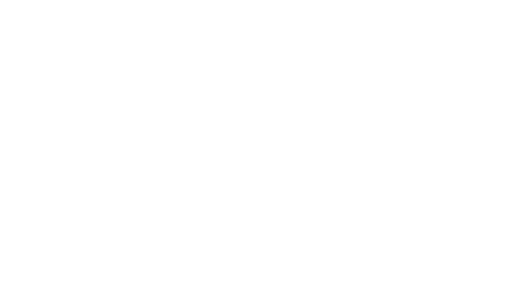 Gaiden the Ring