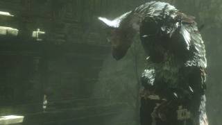 The Last Guardian Makes A Tokyo Game Show Appearance