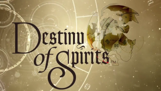 E3 2013: Turn-Based, 2D RPG Action Comes to Vita with Destiny...of Spirits