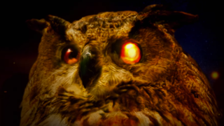E3 2016: This Owl Would Like You to Play The Elder Scrolls: Legends