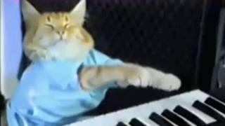 Here's The Part Where Keyboard Cat Intersects With Gaming