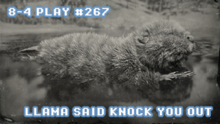8/7/2020: LLAMA SAID KNOCK YOU OUT