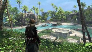 Here's a Look Around Assassin's Creed IV's Next-Gen World