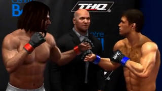 THQ Outlines Financial Fallout of Ending UFC Deal