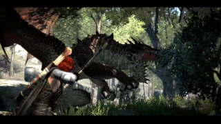 E3 2011: Dragon's Dogma Trailer