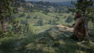 Red Dead Redemption II (PC)