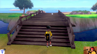 The Great Pokemon Walk-A-Thon