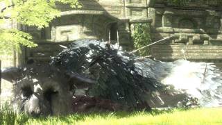 The Last Guardian Officially "On Hiatus" UPDATE: Or Not