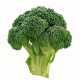 Avatar image for broccoli_is_not_a_microphone