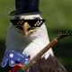 Avatar image for rockyeagle