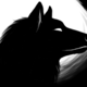 Avatar image for _wolf