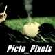 Avatar image for picto_pixels