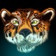 Avatar image for jaguarjk