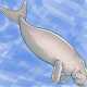 Avatar image for dugong_philatelist