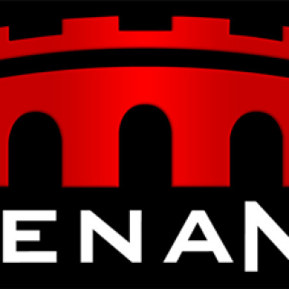 Arena Net Black Logo