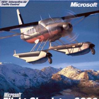 MS Flight Sim 2002