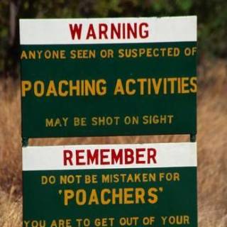Poaching