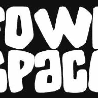 Fowl Space