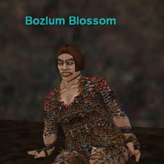 Bozlum Blossom