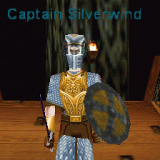 Captain Silverwind