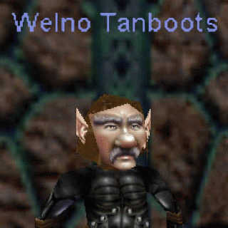 Welno Tanboots