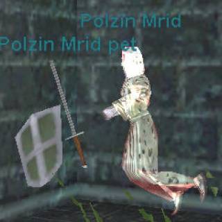 Polzin Mrid