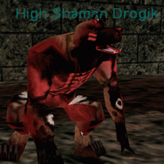 High Shaman Drogik