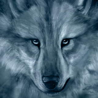Spirit of Wolf
