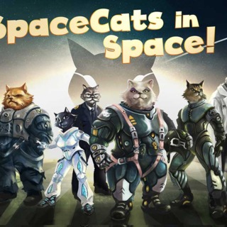 SpaceCats in Space!