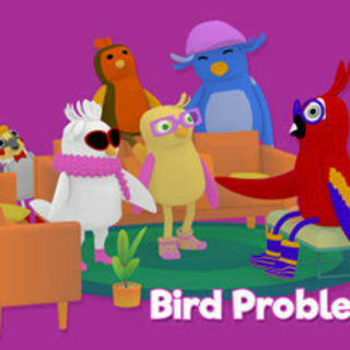 Bird Problems