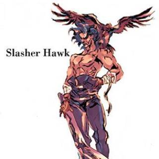 Slasher Hawk
