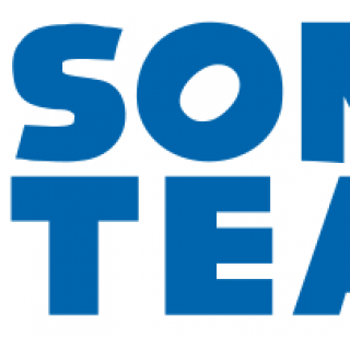 The Logo of Sonic Team
