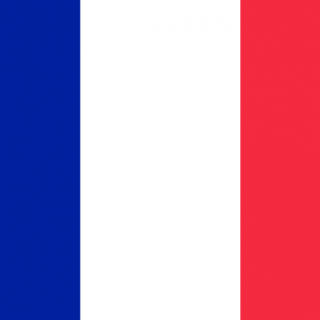 French Flag (accidentally put here)