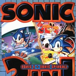 Sonic 2 In 1
