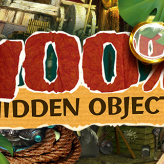 100% Hidden Objects