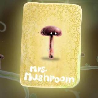 Mrs Mushroom