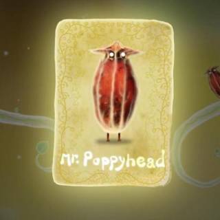 Mr Poppyhead