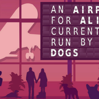 An Airport for Aliens Currently Run by Dogs 