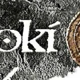 Loki Entertainment Software, Inc.