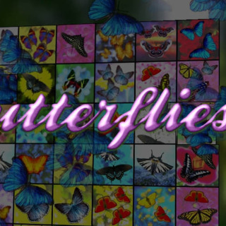 Butterfliestry