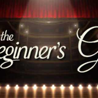 The Beginner's Guide Review